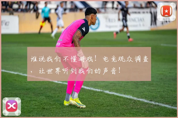 谁说我们不懂游戏!电竞观众调查,让世界听到我们的声音!