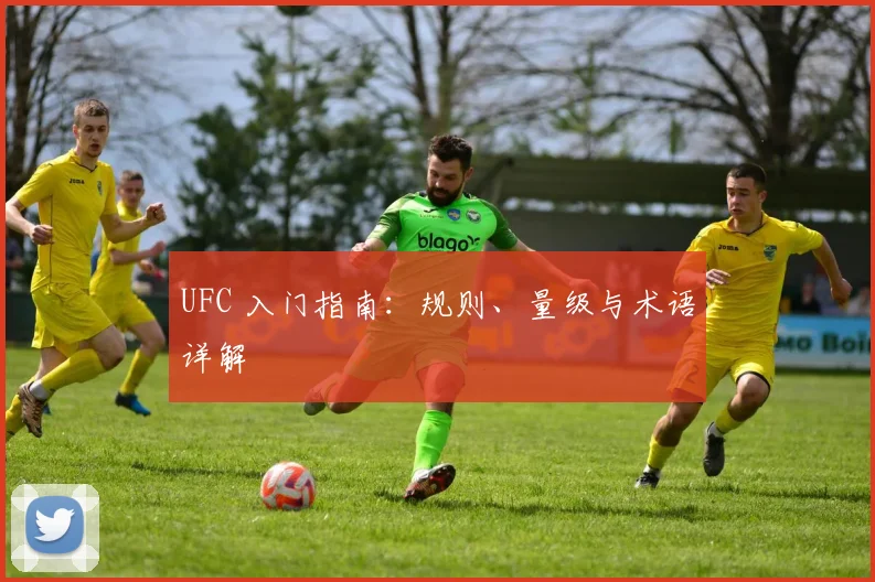 UFC 入门指南:规则、量级与术语详解